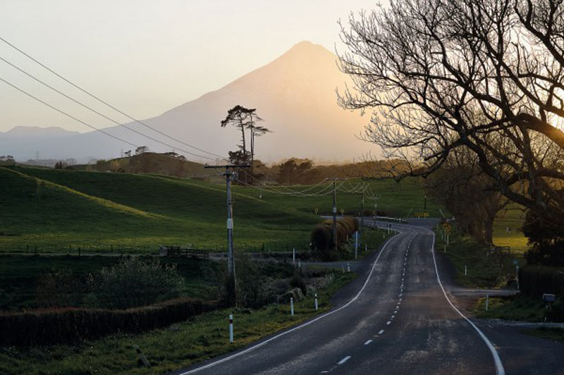 best-road-trips-nz